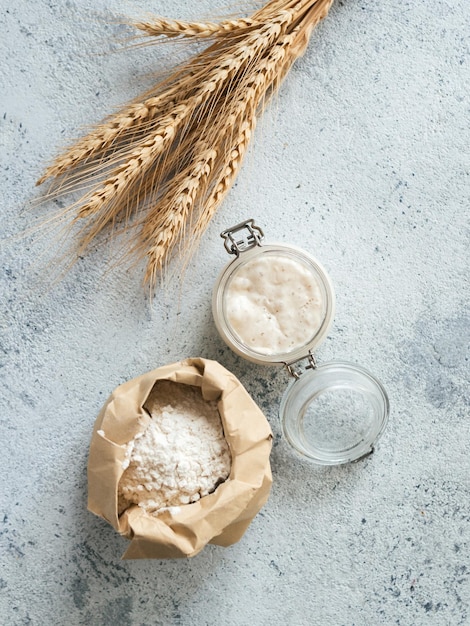 Foto start della pasta acida di grano vista superiore degli ingredienti per la produzione del pane vaso di vetro con farina di pasta acida in sacchetto di carta e orecchie su sfondo di cemento grigio copia spazio per testo o disegno