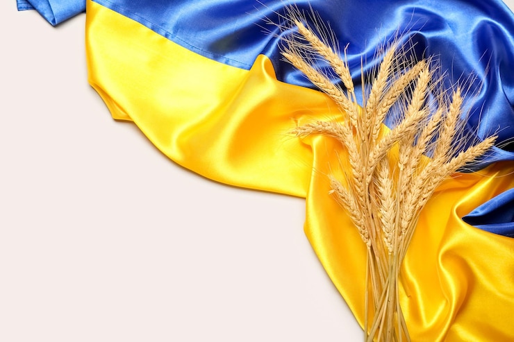 Фотография пшеничные шипы и флаг украины на светлом фоне