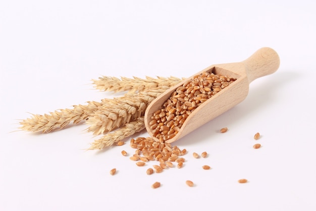 Wheat and spikelets on a white background