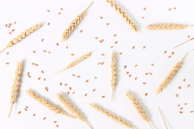 Wheat and spikelets on a white background