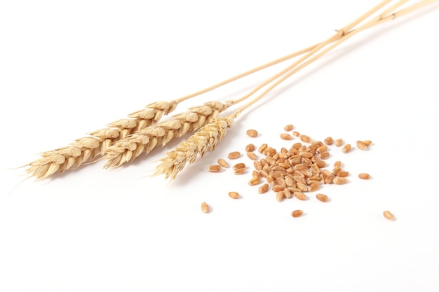 Wheat and spikelets on a white background