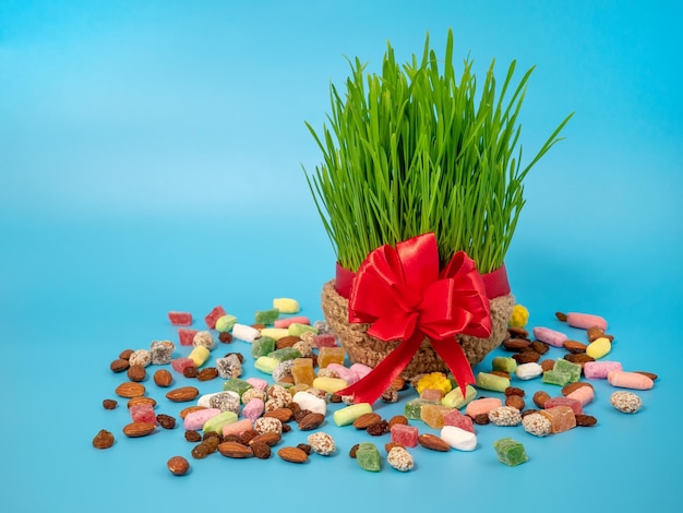 Foto germogli di grano e dolci per la festa di navruz equinozio di primavera anno nuovo persiano iraniano azero