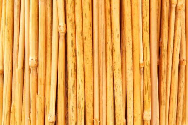 Wheat stalks yellow dry straw texture background. Ripe cut stem plants. Dry reed sticks. Twigs wood