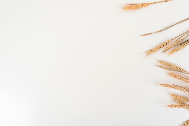 Photo wheat on white table background top view