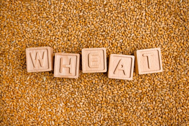 Wheat word on wooden blocks and plant background nature farming natural background farmer fieldwheat