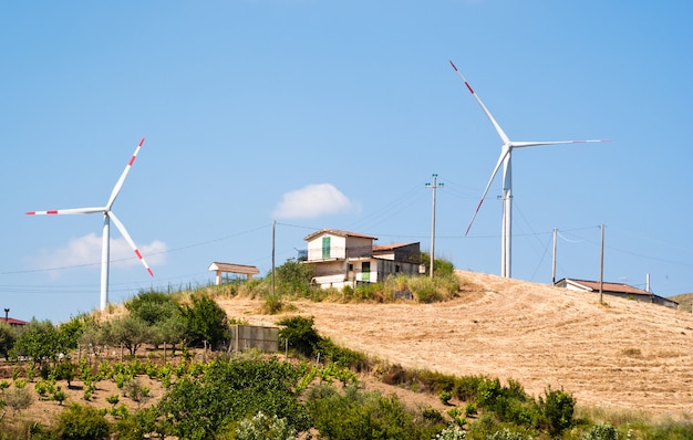 Wheatfield with windmills