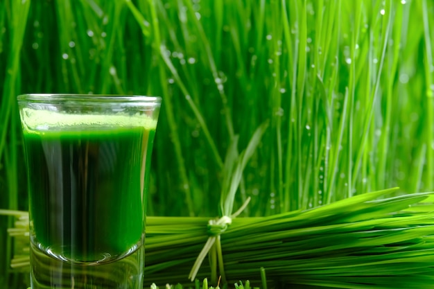 Photo wheatgrass juice with sprouted wheat