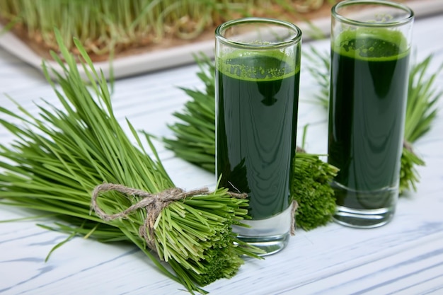 Photo wheatgrass strengthens the immune system helps fight chronic fatigue