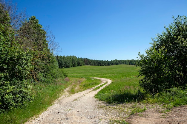 Wheel ruts like a highway with a blue sky