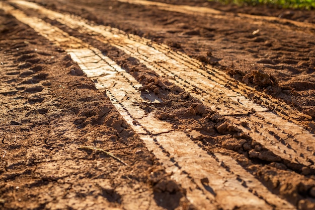 Wheel track on wet soil