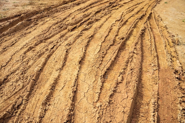 Wheel tracks on rural dirt road