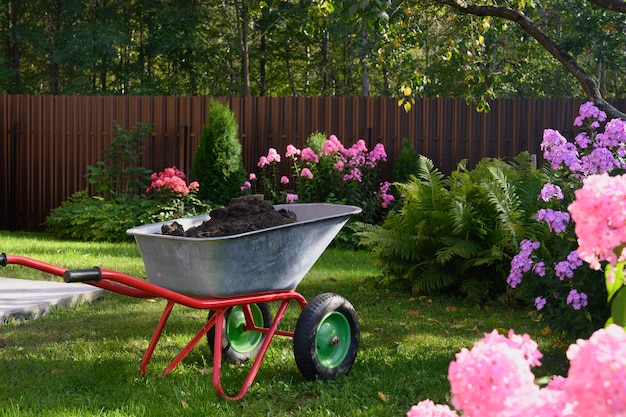 Wheelbarrow with humus on green lawn in private farmhouse. Seasonal work and fertilization in garden for flowers. Outdoors.