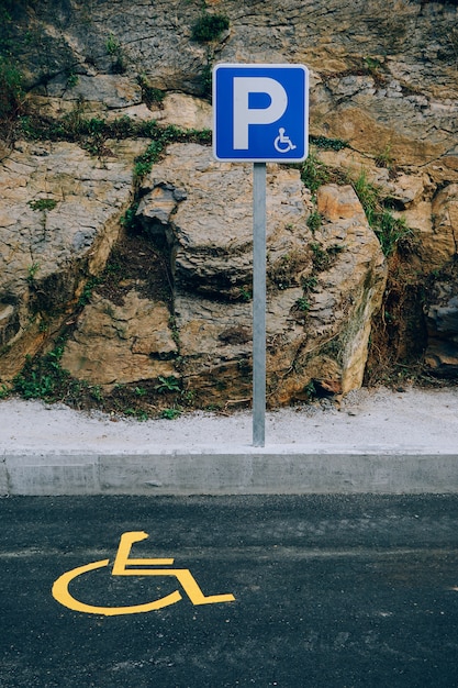 wheelchair traffic signal in the street