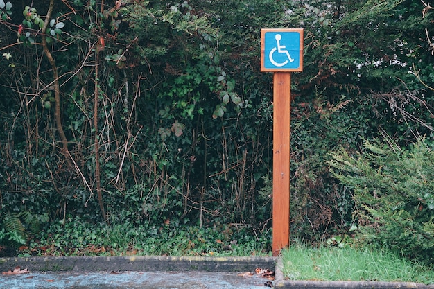 wheelchair traffic signal                     