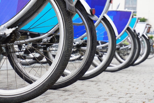 自転車の車輪が一列に並んでいます