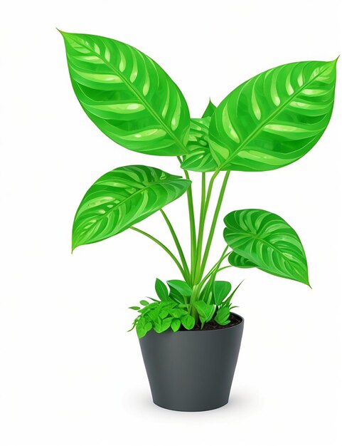 A whimsical money plant vector with white background