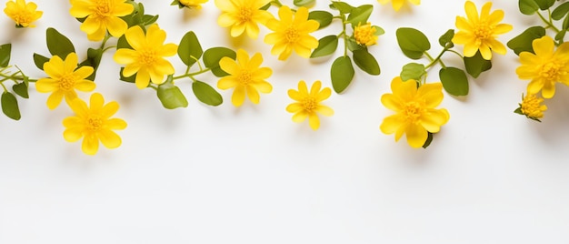 Whispers of Spring Delicate Yellow Flowers on a Gentle Light Background