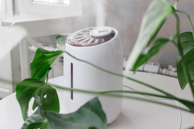 Foto umidificatore d'aria bianco che diffonde vapore sulle piante d'appartamento umidificazione selettiva dell'aria secca
