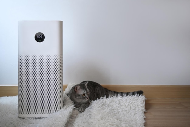 White air purifier with digital monitor screen and cute cat on\
wooden floor in living room air pollution concept