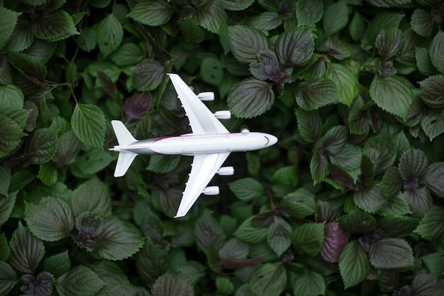 White airplane model in leaves