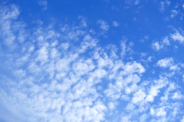 鮮やかな青い空に散在する白い高積雲