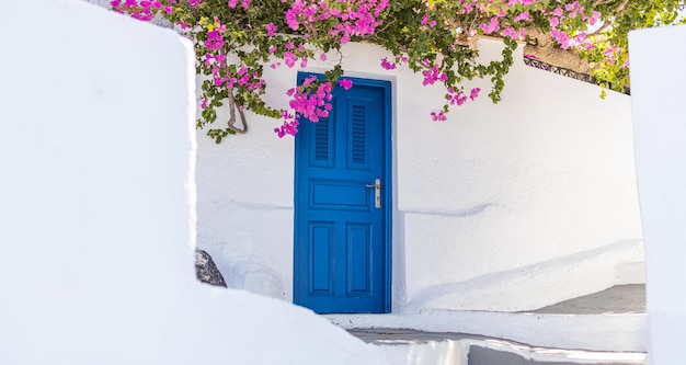 White architecture on Santorini island Greece Blue door and pink flowers on the facade