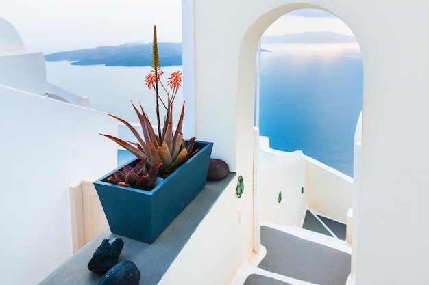 Foto architettura bianca nell'isola di santorini, in grecia