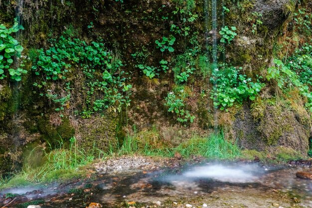 white atomized water from dripping water through overhanging conglomerate named rinnende mauer in a canyon