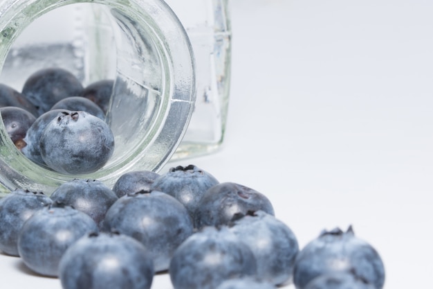 White background blueberry