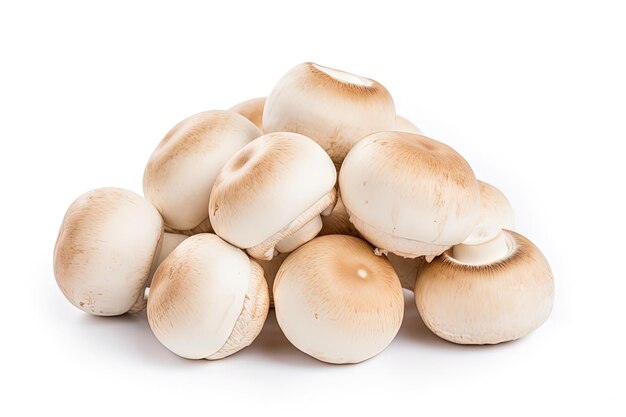 White background champignon mushrooms