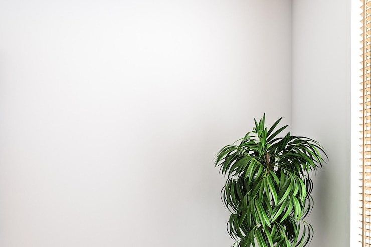 Photo white background interior with green plant