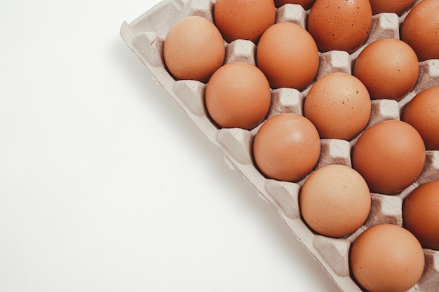 The white background with copy space and the eggs in the paper tray