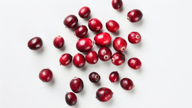 White background with fresh cranberries