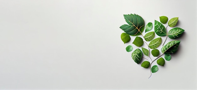 A white background with green leaves and a white background.