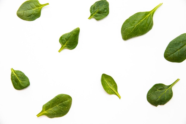 White background with many green spinach leaves