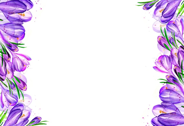 White background with watercolour lilac crocuses spring flowers hand drawn sketch romantic