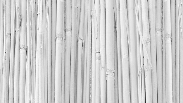 White bamboo fence background