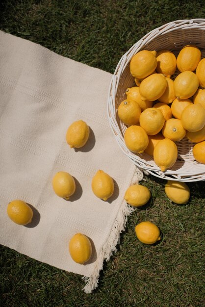 A white basket with lemons scattered on a blanket in the park