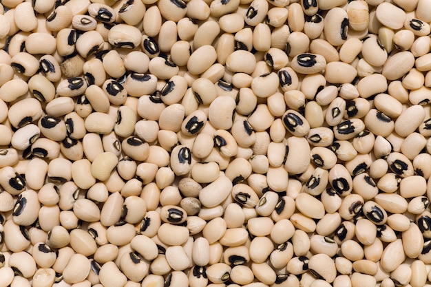 White bean background