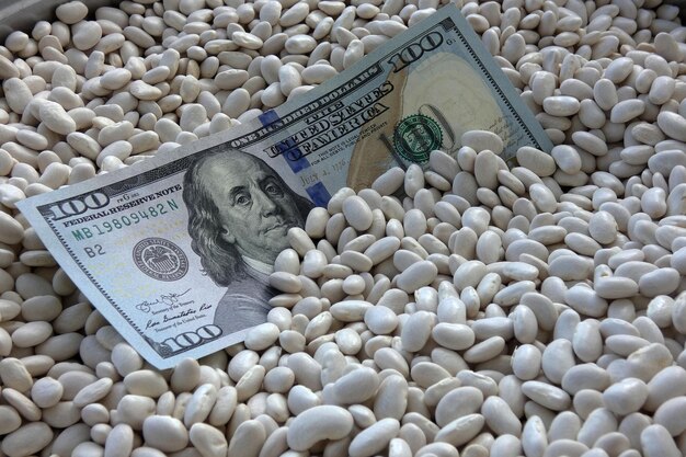 White beans in a bowl and 100 USD bills on it