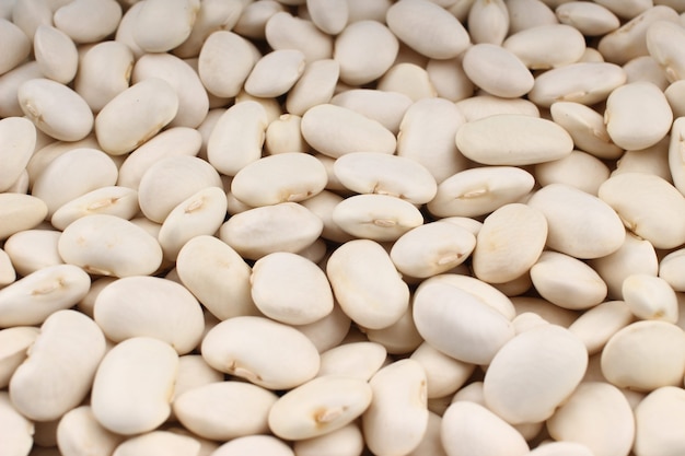 White beans close up