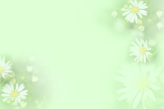 White beautiful spring flower bloom branch vintage green background with free copy space for greeting card or environment cover page, template, web banner and header.