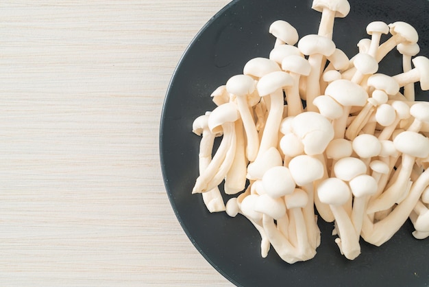 White beech mushroom or white reishi mushroom