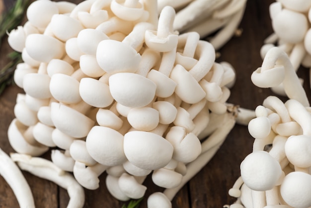 Photo white beech mushrooms or shimeji mushroom on wood