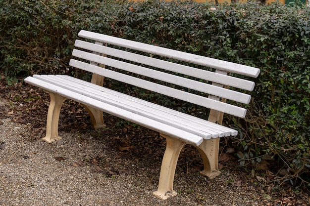 A white bench sits in a park with a bush in the background