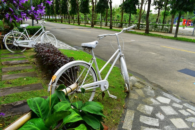 Белый велосипед в саду