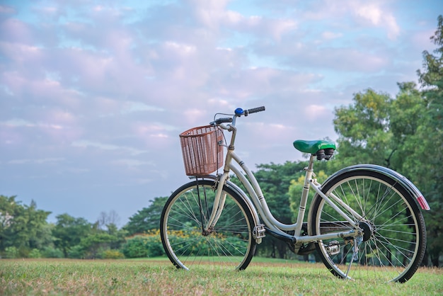 緑の公園で白い自転車