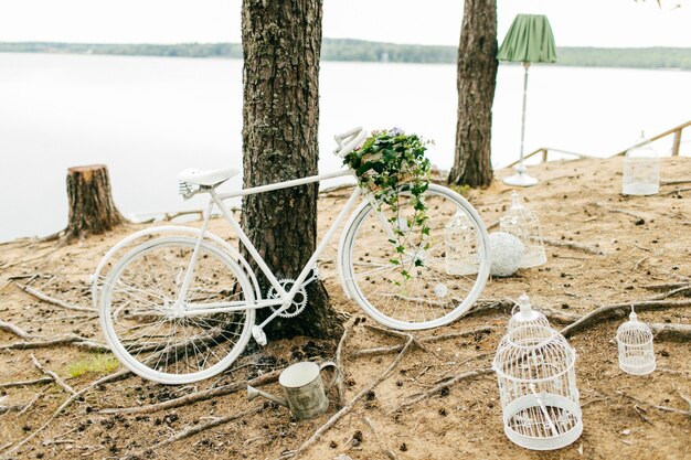 Bicicletta bianca vicino all'albero