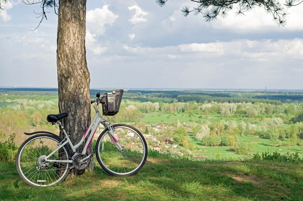 A white bicycle in a small clearing in the forest leaning against a pine trunk