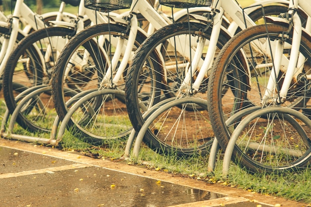 White bicycles parking in a row.